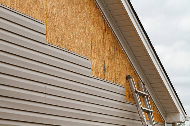Professional Siding Inspection technician working in Lebanon, VA